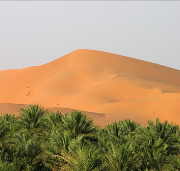 Morocco Encompassed Tours From errachidia