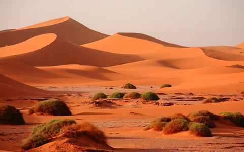 2-days-tour-from-marrakech-to-zagora-desert
